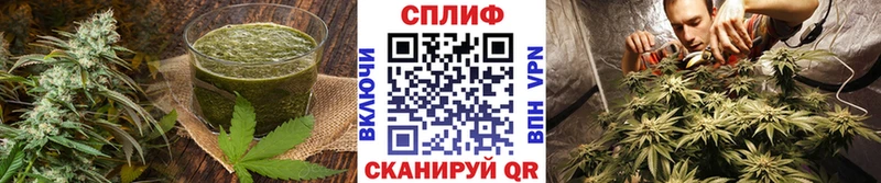 hydra онион  Шуя  Еда ТГК конопля 