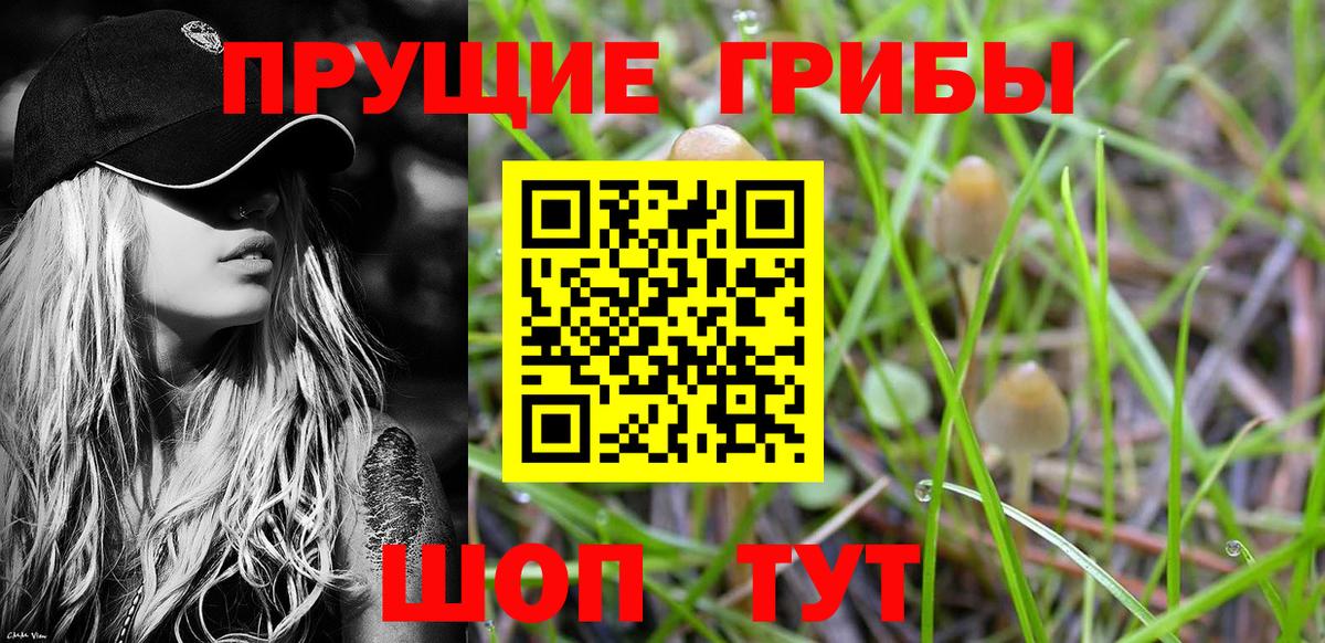 наркотики  Псилоцибиновые грибы мухоморы  Вход с VPN  Шуя 